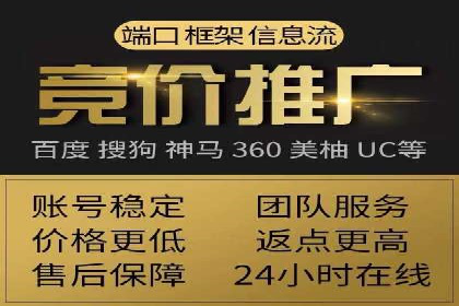 SEM主管实战技巧：案例分享与解读